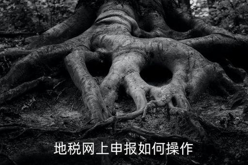 地稅網(wǎng)如何申報(bào)，地稅網(wǎng)上申報(bào)如何操作