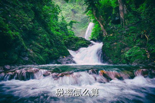 如何核算稅率，怎樣算稅率