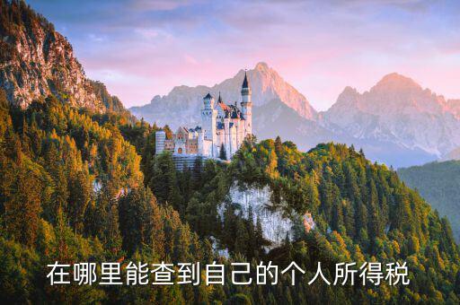 如何查看自己交稅，怎么查自己交了多少稅