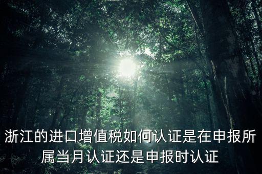 浙江國稅進口發(fā)票如何認(rèn)證，浙江的進口增值稅如何認(rèn)證是在申報所屬當(dāng)月認(rèn)證還是申報時認(rèn)證