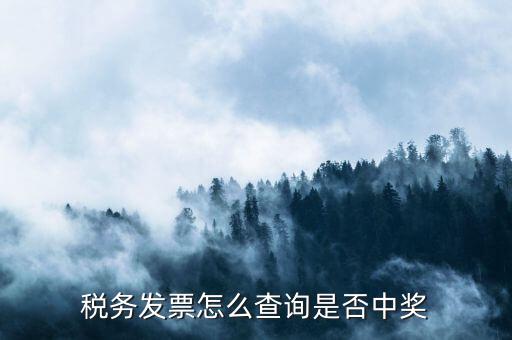 如何查地稅發(fā)票中獎，稅務(wù)發(fā)票怎么查詢是否中獎
