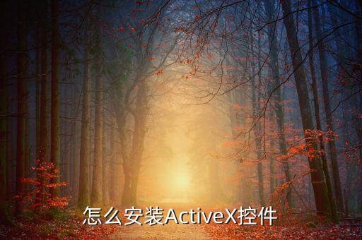 如何安裝scriptx，怎么安裝ActiveX控件