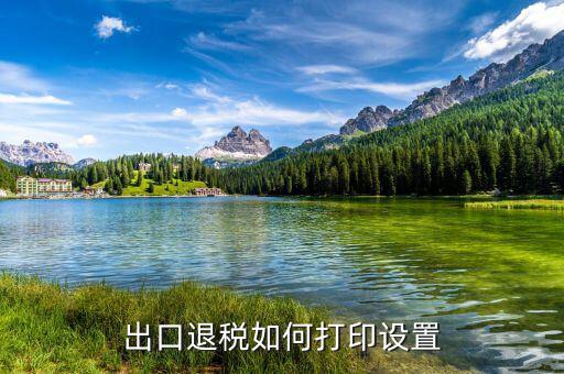 如何打印出口退稅備案表，出口退稅系統(tǒng)內(nèi)的增值稅申報(bào)表如何打印