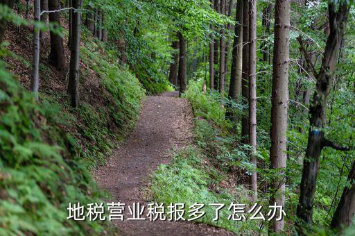 營業(yè)稅多交了如何處理，營業(yè)稅改征增值稅后多交的營業(yè)稅怎么辦交增值稅了不繳納營業(yè)