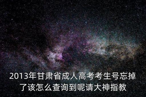 甘肅省如何查號(hào)，2013年甘肅省成人高考考生號(hào)忘掉了該怎么查詢到呢請(qǐng)大神指教
