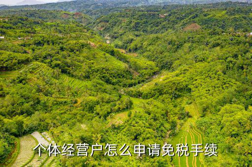 如何申請個體工商戶免稅，個體經營戶怎么申請免稅手續(xù)