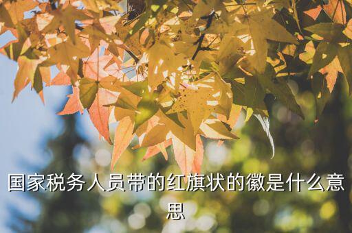 如何佩戴稅務(wù)肩章，地稅局人員的肩章