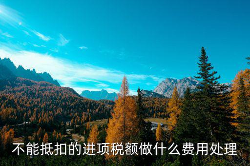 進項稅不讓抵扣后如何處理，不能抵扣的進項稅額做什么費用處理