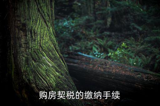 如何繳納契稅，購房契稅的繳納手續(xù)