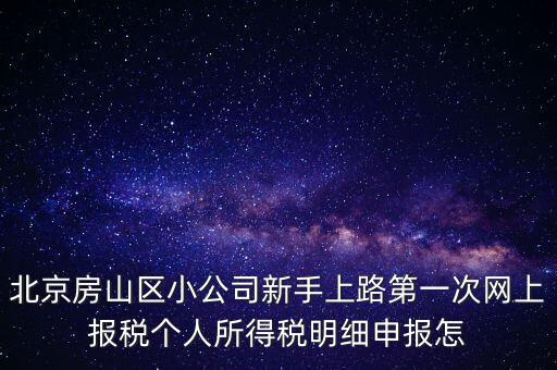 北京房山區(qū)小公司新手上路第一次網上報稅個人所得稅明細申報怎