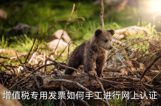 如何手工認(rèn)證發(fā)票，網(wǎng)上發(fā)票認(rèn)證怎么手工輸入