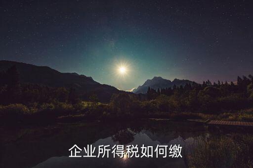 企業(yè)所得稅如何繳稅，企業(yè)所得稅如何繳納