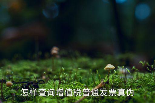 稅務(wù)局如何查發(fā)票真假，如何查稅務(wù)發(fā)票真假