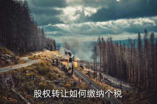 股權(quán)轉(zhuǎn)讓如何交稅，股權(quán)轉(zhuǎn)讓如何繳納個稅