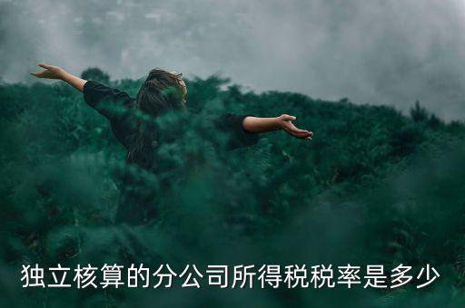 獨立核算的分公司如何納稅，誰知道獨立核算的同城分公司如何繳稅