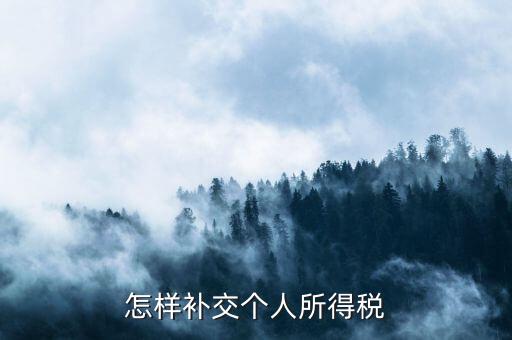 如何補(bǔ)交個(gè)人所得稅，如何用個(gè)人所得稅扣繳系統(tǒng)補(bǔ)繳稅款