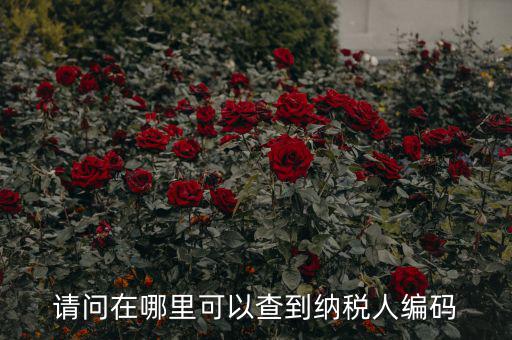 教您如何查詢納稅人代碼，忘記稅務(wù)征收機(jī)關(guān)代碼