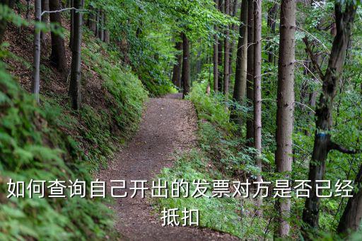 如何查詢已抵扣發(fā)票，怎么查詢開出的發(fā)票有沒有被抵扣
