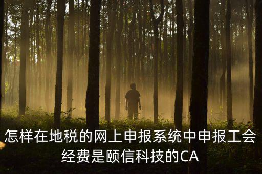 工會(huì)經(jīng)費(fèi)如何網(wǎng)上申報(bào)，怎樣在地稅的網(wǎng)上申報(bào)系統(tǒng)中申報(bào)工會(huì)經(jīng)費(fèi)是頤信科技的CA