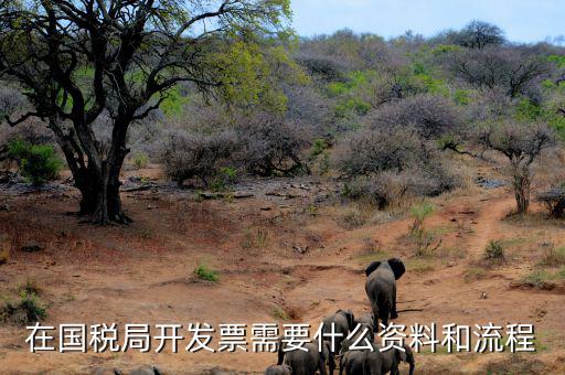 國稅局批票如何辦理，在國稅局開發(fā)票需要什么資料和流程