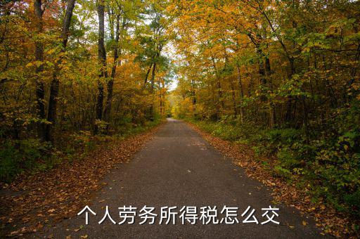 個(gè)人勞務(wù)費(fèi)如何繳稅，勞務(wù)報(bào)酬所得怎么繳納個(gè)人所得稅