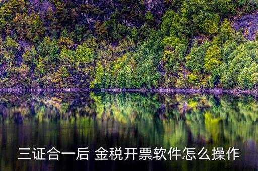 三證合一如何開票系統(tǒng)，怎么給三證合一的企業(yè)開增值稅發(fā)票
