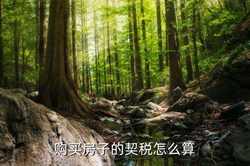 如何省契稅，契稅怎么算