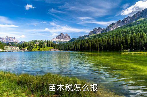 苗木增值稅免稅如何申報，苗木稅怎么報