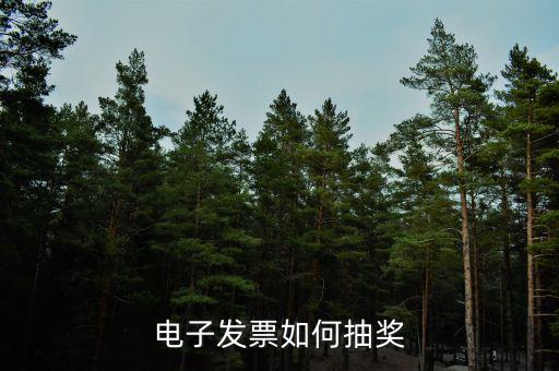 發(fā)票如何登記抽獎，發(fā)票怎么抽獎