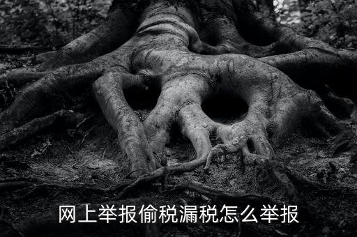 如何網(wǎng)上稅務(wù)舉報(bào)，網(wǎng)上舉報(bào)偷稅漏稅怎么舉報(bào)