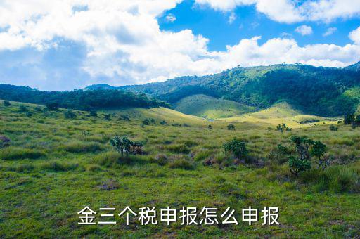 金三稅如何申報個稅，金稅三期 個稅 生產(chǎn)經(jīng)營所得怎么申報