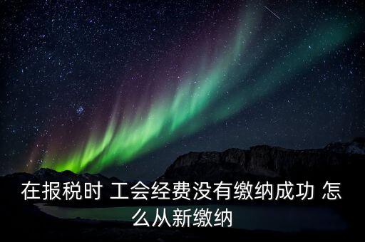 如何補繳工會經費，在報稅時 工會經費沒有繳納成功 怎么從新繳納
