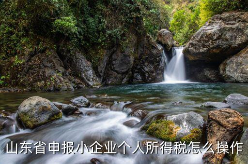 山東省如何網(wǎng)上申報所得稅，山東國稅2008年度企業(yè)所得稅實行網(wǎng)上申報