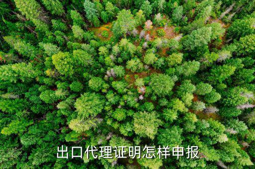 代理出口貨物證明如何報稅，出口代理證明怎樣申報