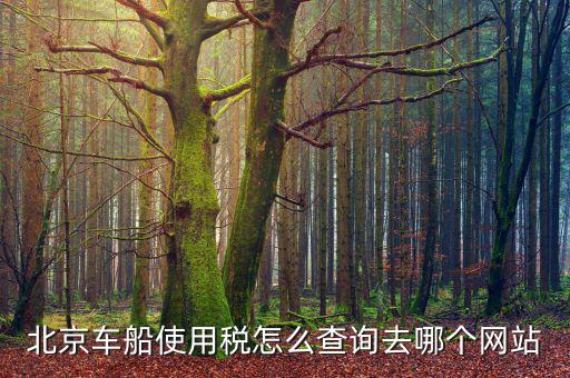 北京車船稅如何查詢系統(tǒng)，北京車船使用稅怎么查詢交沒交