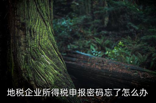 南京地稅密碼如何重置，個人所得稅忘記密碼之后如何進(jìn)行重置呢