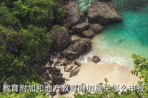 地方教育附加如何申報(bào)了，教育附加和地方教育附加減免怎么申報(bào)