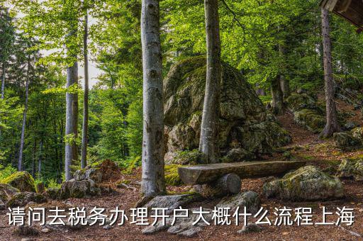 如何辦理稅務(wù)開戶，請問去稅務(wù)辦理開戶大概什么流程上海