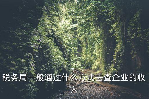 稅務(wù)如何統(tǒng)計(jì)收入，小規(guī)模增值稅季報(bào)在哪里統(tǒng)計(jì)收入