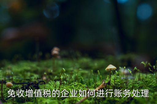 免稅的增值稅如何處理，增值稅免稅的處理