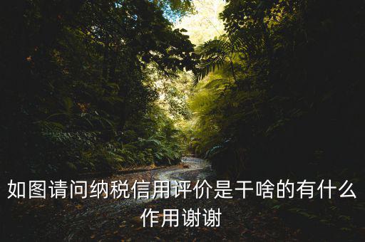 稅務(wù)如何評(píng)定信用如何打分，哪些涉稅行為會(huì)影響納稅信用等級(jí)評(píng)定