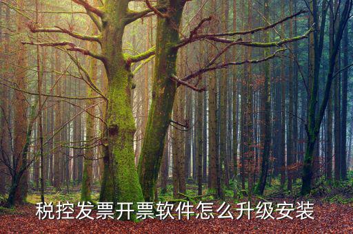 航天金稅開票軟件如何升級，怎樣升級開票系統(tǒng)升級