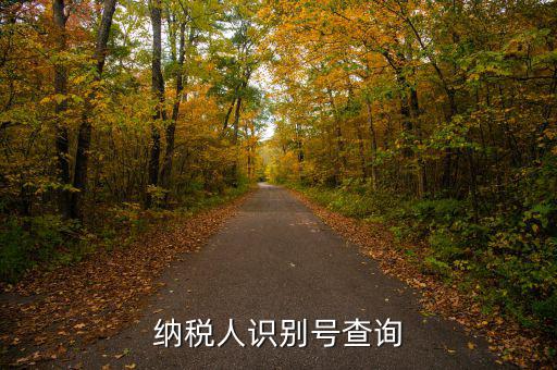 如何查公司納稅人識別號，納稅人識別號查詢