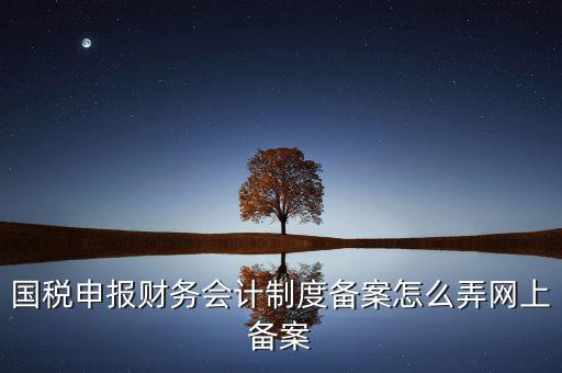電子稅務(wù)局如何會(huì)計(jì)制度備案，2017年電子稅務(wù)局財(cái)務(wù)報(bào)表備案是不是可以馬上填寫