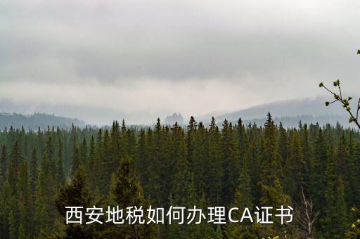 如何申請地稅ca證書，西安地稅如何辦理CA證書