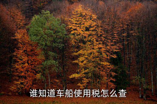 如何查詢自己交車船稅，車船稅交沒交能在網(wǎng)上查詢嗎