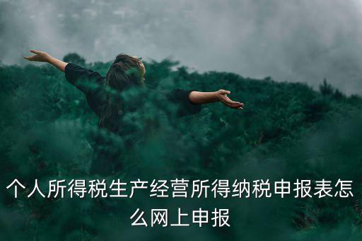 生產(chǎn)經(jīng)營所得如何網(wǎng)上申報，個體工商戶網(wǎng)上申報怎么做