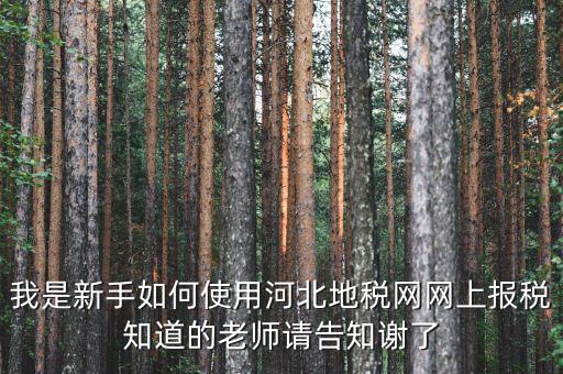 河北省地稅網(wǎng)上申報(bào)如何操作，地稅網(wǎng)上申報(bào)如何操作