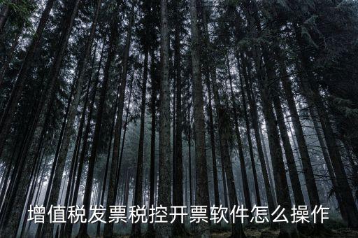百望開票軟件如何開票，百望開票系統(tǒng)發(fā)票抬頭有符號(hào)怎么打