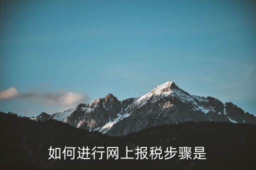 如何推行網(wǎng)上辦稅，如何辦理網(wǎng)上納稅